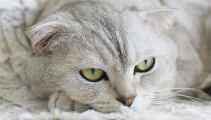 九游娱乐官方网站-青年运动员成长环境持续优化，青年运动员成长环境持续优化措施