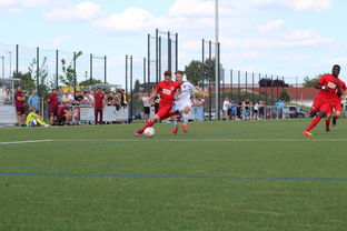 九游体育官网入口-特色足球运动场设计结合智慧城市理念，实现多功能利用，趣味足球场设计